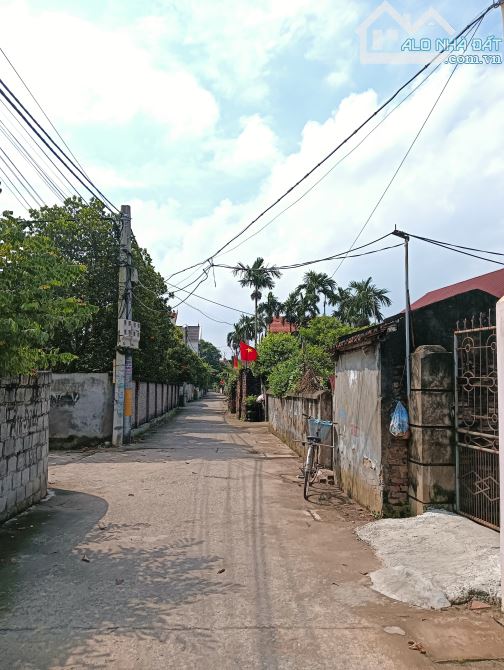 Tự nhiên -thường tín 💸 giá rẻ tại thời điểm