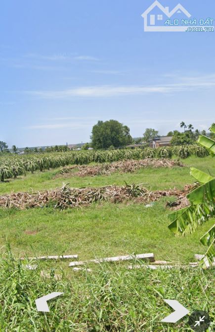 BÁN LÔ ĐẤT 1.900m² – QUY HOẠCH THỔ CƯ – TIẾN LỢI, PHAN THIẾT , LÂM ĐỒNG