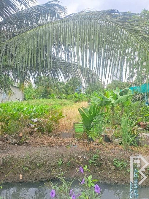 ĐẤT FULL THỔ CƯ- THẠNH XUÂN 33- DIỆN TÍCH KHỦNG 200m²- CHỈ 7.x TỶ