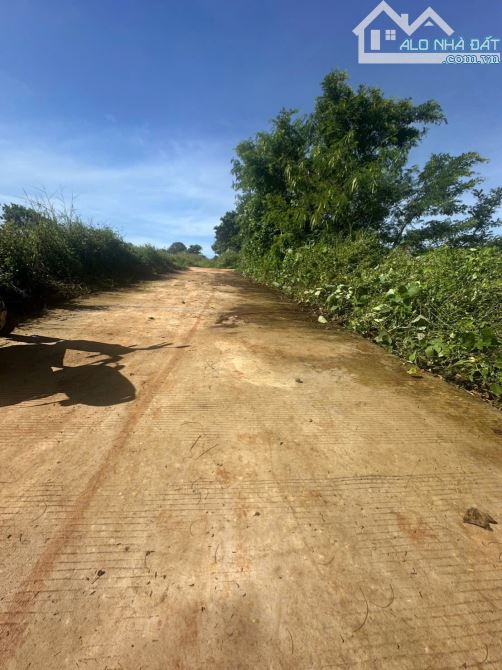 ĐẤT BÁN HẺM 19/5 ĐẸP KO TÌ VẾT GIÁ TỐT - Loctran