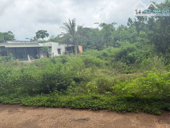 BÁN LÔ ĐẤT THANH ANH HỚN QUẢN GÍA HƠN 300
