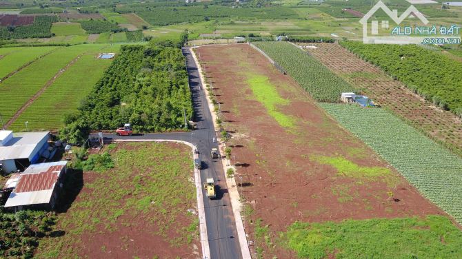 Đất nghỉ dưỡng làng Thanh Bình 810Tr/ nền sổ hồng view săn mây Cách Liên Khương chỉ 10km