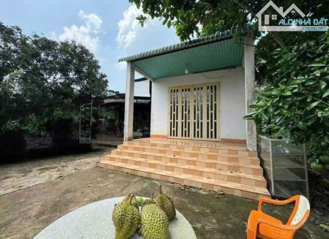 Bán đất thổ vườn có nhà cấp 4 rộng 2600m2 giá rẻ 630 triệu ngay ubnd tân hiệp, Bình Dương