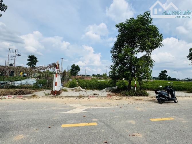 🔥 BÁN LÔ ĐẸP KHU ĐẤU GIÁ DỤC TÚ 1 – ĐÔNG ANH 🔥 ✅