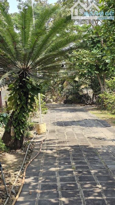Bán nhà vườn Nguyễn Thị Chiên, Tân An Hội, Củ Chi: 13.381m2, giá 30 tỷ.