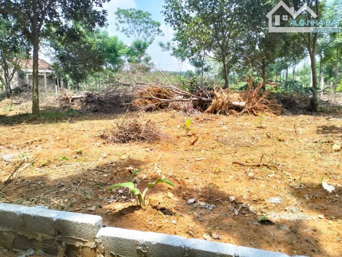 4,3 tỷ sở hữu 1440m2 có 200m đất ở, đường 2 ô tô tránh, đất Ba Trại gần tỉnh lộ
