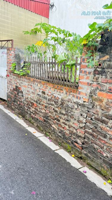 🚀 BÁN ĐẤT DU NỘI – MAI LÂM – ĐÔNG ANH 📍 Diện tích 46m² – Ô tô vào tận cửa 📍 Gần QL3,