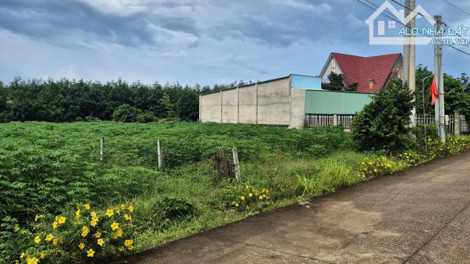 Đất TP. HCM ngay trường tiểu học An Linh - 342m2(100m2 TC) - 480tr bao sổ - có hỗ trợ vay