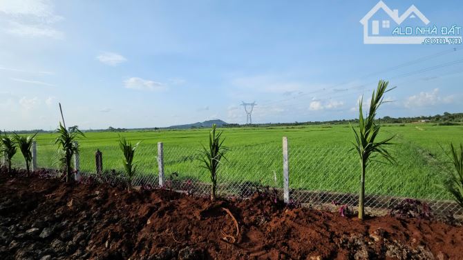 KHÔNG GIAN NGHỈ DƯỠNG GIỮA CÁNH ĐỒNG XANH