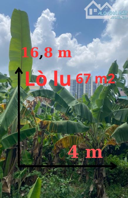 ĐẤT 67M² – LÒ LU LONG TRƯỜNG – 1 XẸT MT 50M – GIÁ 4T5