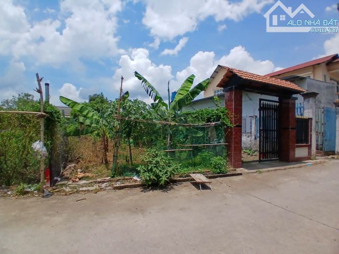 Bán đất full thổ cư đối diện 3030B Hùng Vương - Xã Phú Đông ngang 10m