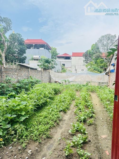 ✨ CƠ HỘI ĐẦU TƯ – BÁN ĐẤT THUẬN THÀNH, BẮC NINH - 152m2 - 10 phút đi SÂN BAY - NHỈNH 3tỷ ✨