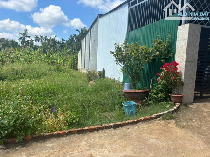 BÁN ĐẤT ĐƯỜNG SỐ 13B, HÒA THUẬN - ĐẠT LÝ, TP. BUÔN MA THUỘT