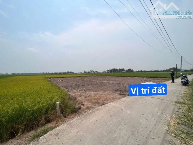 5×28 thổ Lạc Tấn_tân trụ_Long An 445 triệu Đường ôtô 7 chỗ đường thông giá bị ngộp - 1