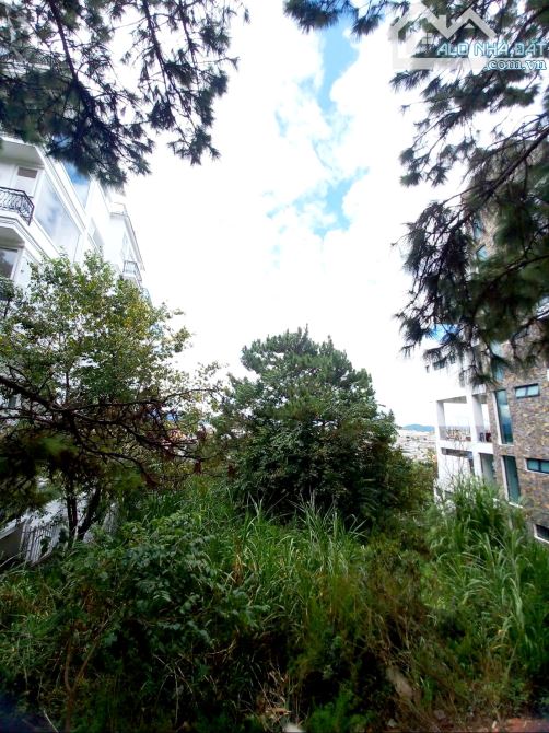 Đất biệt thự 1.488m2 mặt tiền đường nhựa,View thung lũng và rừng thông trước đất - 1