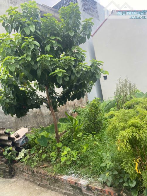Bán đất Vũ Đức Thận Long Biên Ô tô tránh- Kinh doanh- 71m mặt tiền 5m nhỉnh 16 tỷ(TL) - 1