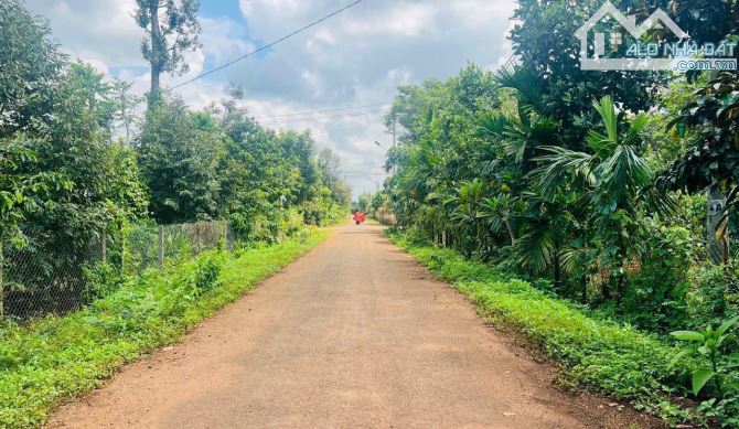 💥💥BUÔN NAO A Nguyễn Xuân Nguyên Ngay trường học Trục đường Qh 24m thuộc phường Tân An - 1