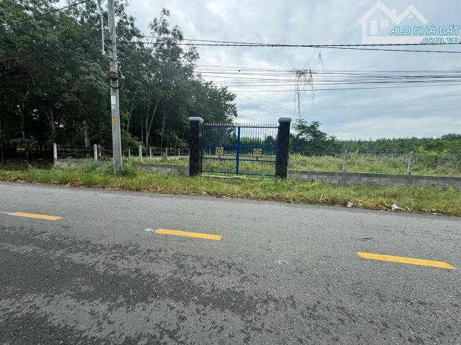 Bán đất mặt tiền Đ.An Nhơn Tây sau lưng bệnh viện 30x61 Tổng 1313m2 100m thổ cư - 1