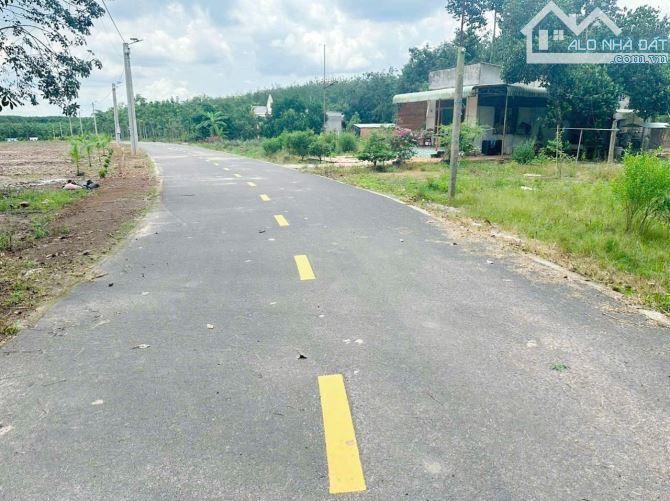 BÁC EM MUỐN SANG LẠI MIẾNG VƯỜN HƠN 1000 M2 Ở PHÚ GIÁO BÌNH DƯƠNG - 1