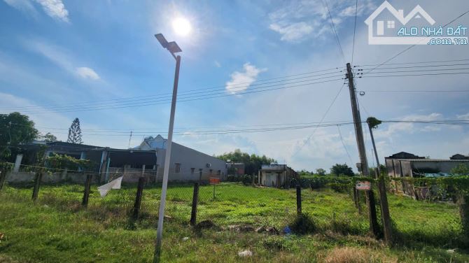 Bán 2242m2 đất thổ cư Đường Số 1, Tân Bình, LaGi giá đầu tư 1.65tr/m2 gần Biển - 1