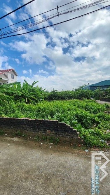 ĐẤT HIẾM THẠCH BÀN - NGÕ THOÁNG NÔNG - 50M NHỈNH 5 TỶ - 1