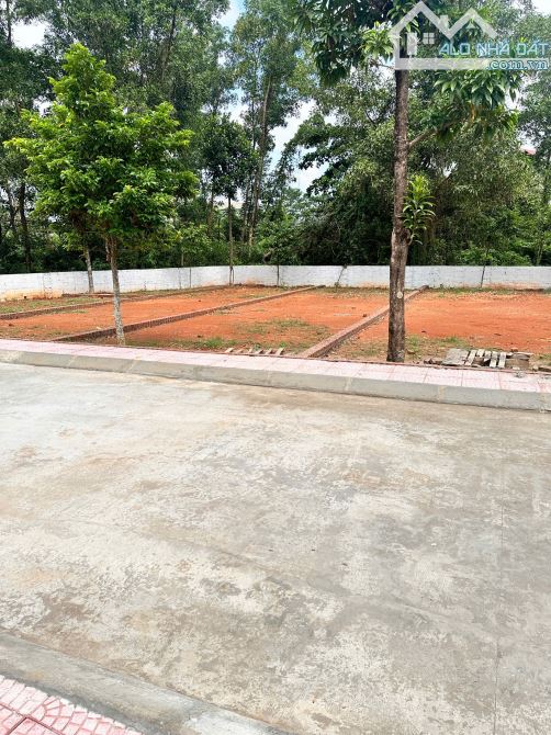 102m² full thổ cư – Mặt tiền 6m, đối diện chợ & trường học, cách Ngã tư Lục Quân chỉ 200m - 1