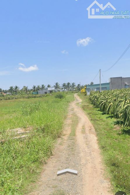BÁN LÔ ĐẤT 1.900m² – QUY HOẠCH THỔ CƯ – TIẾN LỢI, PHAN THIẾT , LÂM ĐỒNG - 1
