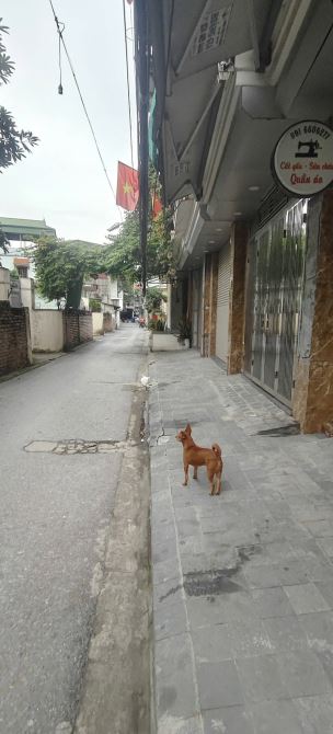 Bán nhà Lương Thế Vinh, Phân lô, 3 mặt , ô tô vào nhà, 75m2, 4 tầng, mặt tiền 10m, 21 tỷ - 1