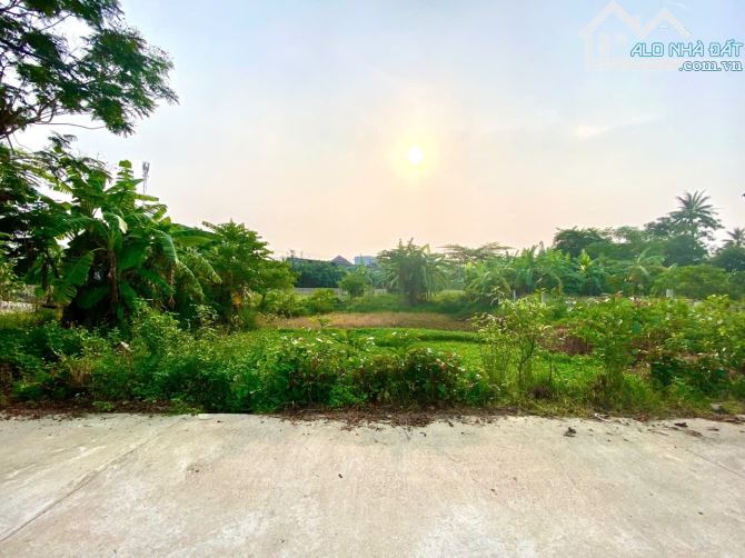 🌈LÔ ĐẸP NGAY CỔNG TRIỀU SƠN TÂY, 3 MẶT TIỀN THOÁNG ĐẸP GIÁ 8,9Triệu/m2 - 1