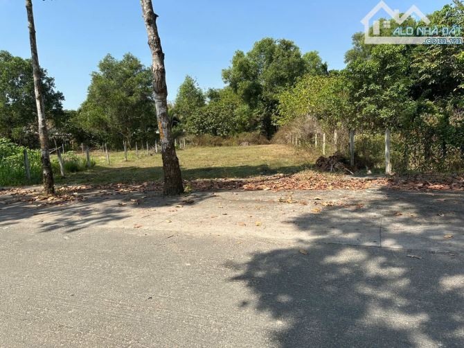 Chú Tân BÁN 500M2 ❗1,7Tỷ cực hời tại THÁI MỸ 🔥 - 1