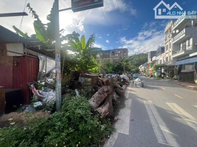 Lô góc 198m2 khu biệt thự đấu giá Kha Lâm 3 - Ngang 13,5m - Đường 13m - 1