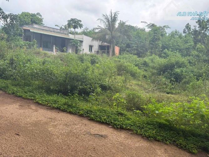 BÁN LÔ ĐẤT THANH ANH HỚN QUẢN GÍA HƠN 300 - 1