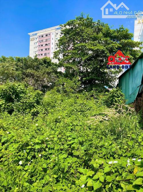 Bán lô đất Biệt Thự phường Quang Vinh - Biên hoà . - 1