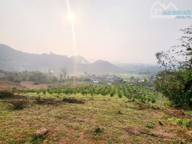 BÁN SIÊU PHẨM LÔ ĐẤT 6750M TẠI CAO PHONG HB VIEW THIÊN NHIÊN SIÊU ĐẸP GIÁ 3.X TỈ - 1