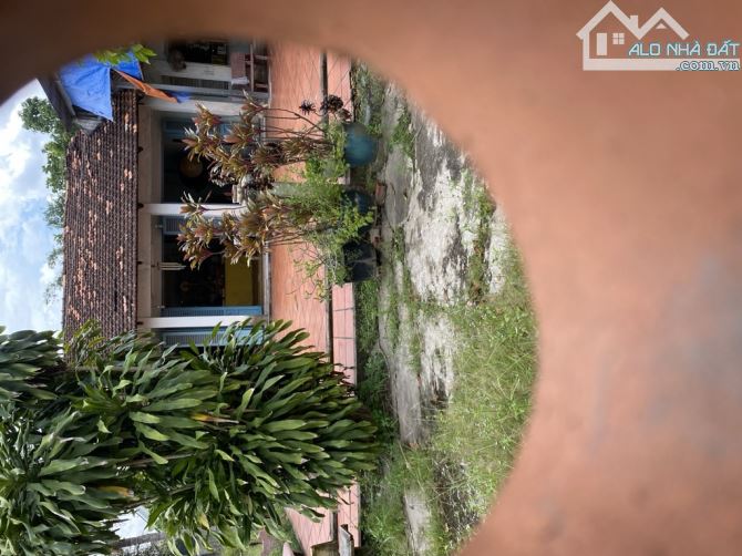 Củ Chi: Bán Gấp 2785m² Đất Thổ Cư Mặt Tiền QL15, Tân Thạnh Đông Giá 45 Tỷ SHR - 1