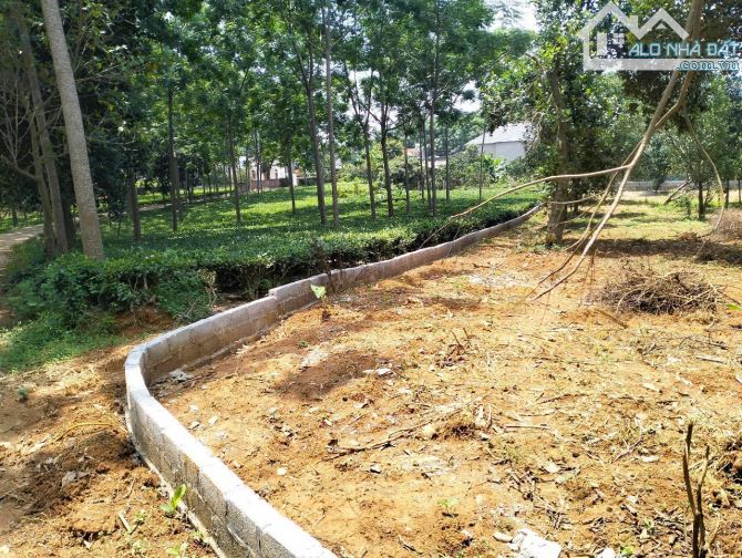 4,3 tỷ sở hữu 1440m2 có 200m đất ở, đường 2 ô tô tránh, đất Ba Trại gần tỉnh lộ - 1