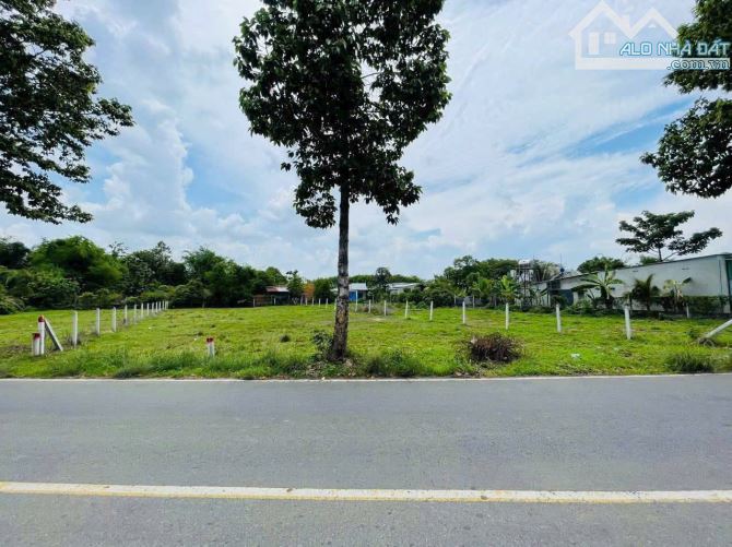 CHỦ CẦN TIỀN BÁN GẤP LÔ ĐẤT ĐẸP - TÂN THÔNG HỘI CỦ CHI - 1