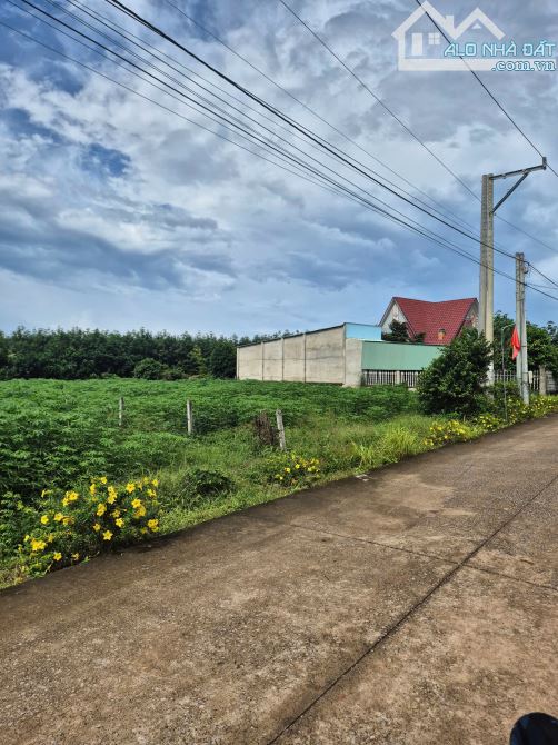 Đất TP. HCM ngay trường tiểu học An Linh - 342m2(100m2 TC) - 480tr bao sổ - có hỗ trợ vay - 1