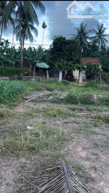 ĐẤT 6 X 38M, MẶT TIỀN CAO THÀNH, LỰA CHỌN AN CƯ LÝ TƯỞNG, GIÁ CHỈ 1,X TỶ - 1