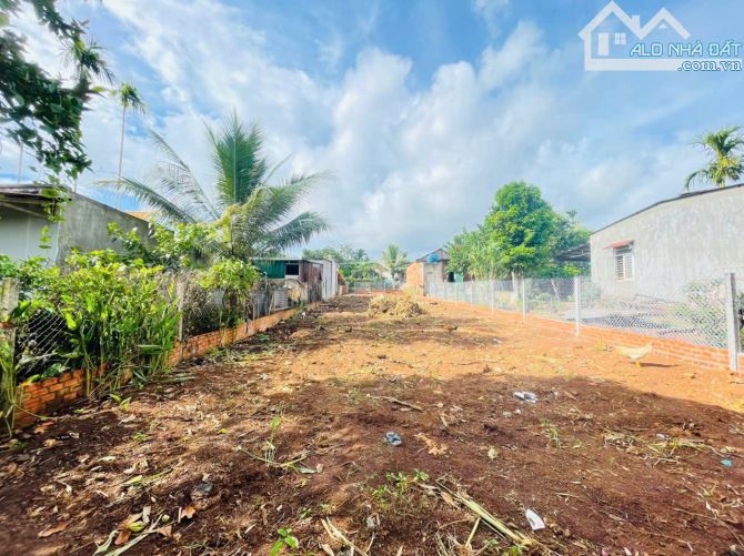 ĐẤT HẺM 19B - HOÀ THUẬN ĐẠT LÝ CŨ 9.9x53m, 2Tỷ650 - 1