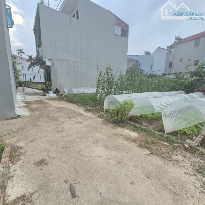 BÁN LÔ ĐẤT TIỀN PHONG MÊ LINH, HÀ NỘI. - 1