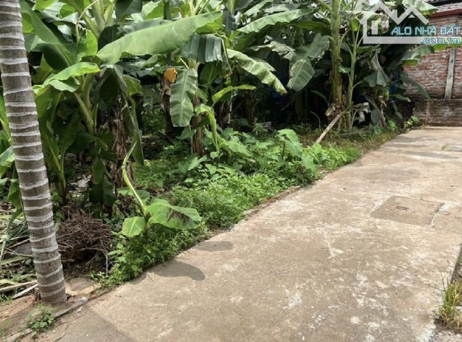 Đất Đẹp Mê Linh 75m² – Xát VĐ4, Cầu Hồng Hà – 10p Vào Nội Thành – Giá ĐẦU TƯ🔥 - 1
