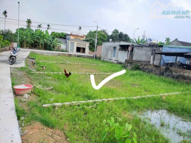 Chị chủ xinh gái gửi bán lô đất xã Cao Nhân ( nay thuộc phường Lê Ích Mộc - Hải Phòng - 1