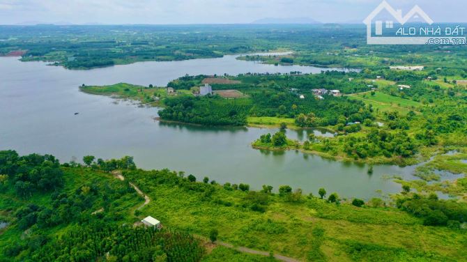 1.500m² FULL HỒNG – GIÁP HỒ CẦU MỚI TUYỆT ĐẸP  - VỊ TRÍ KHÓ TÌM - 1