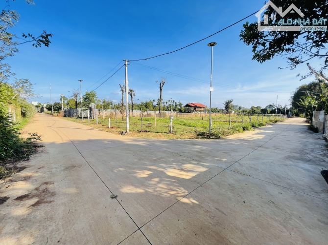 💥Lô TC Full 5*23m,890tr,hẻm Vành Đai QL14-QL26,Đối Diện Phường Tân An ,nhiều lô khác - 1