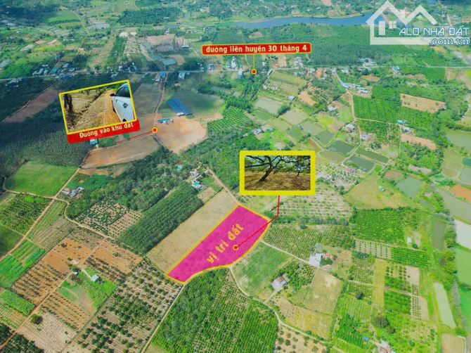 ❌❌Đất Eakar giá rẻ 502m2 chỉ 160 triệu (cắt lỗ nhanh) - 1