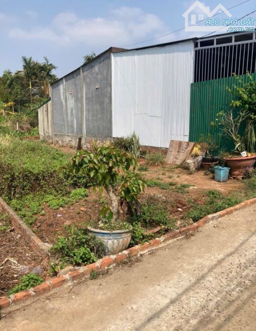 BÁN ĐẤT ĐƯỜNG SỐ 13B, HÒA THUẬN - ĐẠT LÝ, TP. BUÔN MA THUỘT - 1