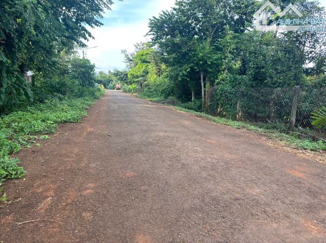 💥💥BUÔN NAO A Nguyễn Xuân Nguyên Ngay trường học Trục đường Qh 24m thuộc phường Tân An - 2