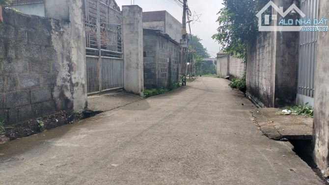 119M Đông Sơn xã Phú Nghĩa mới, đường ô tô thông - 2