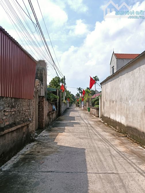 Tự nhiên -thường tín 💸 giá rẻ tại thời điểm - 2